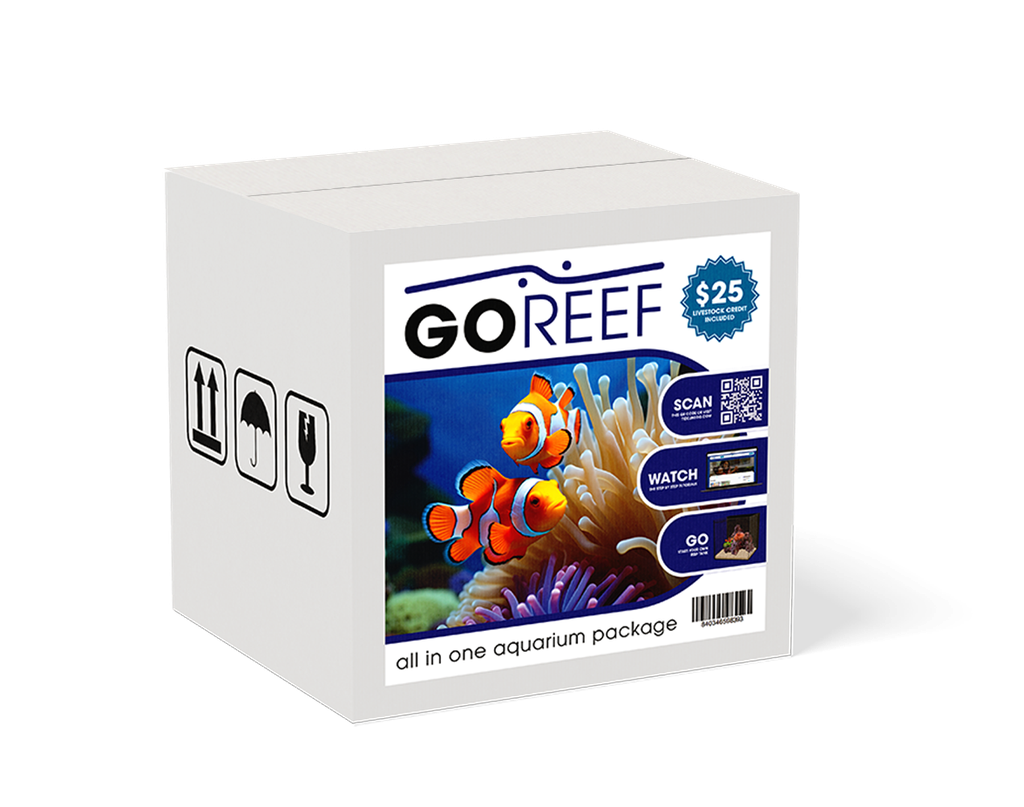 goreef closed mock.png